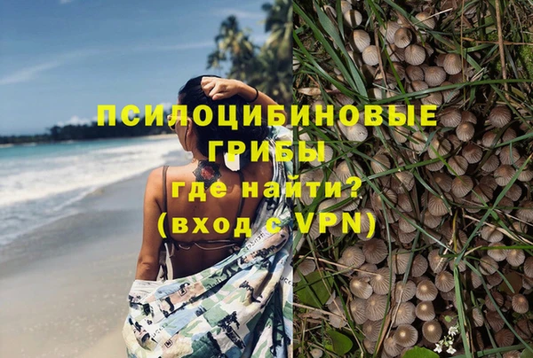 МДПВ Верхний Тагил