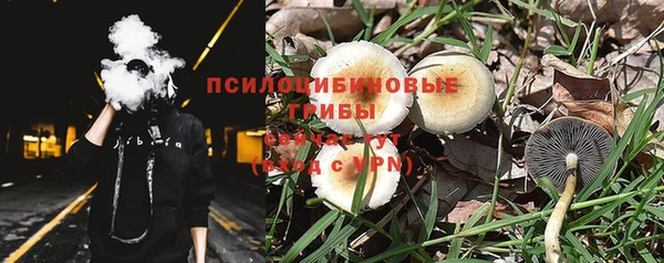 стаф Бугульма