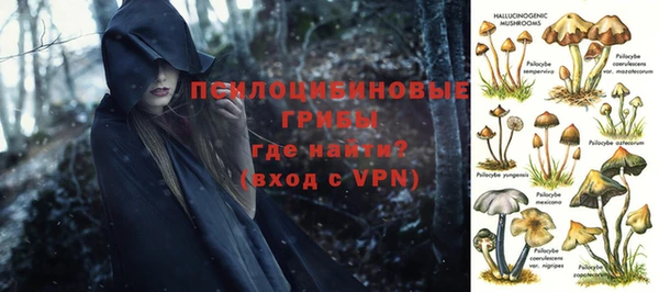 стаф Бугульма