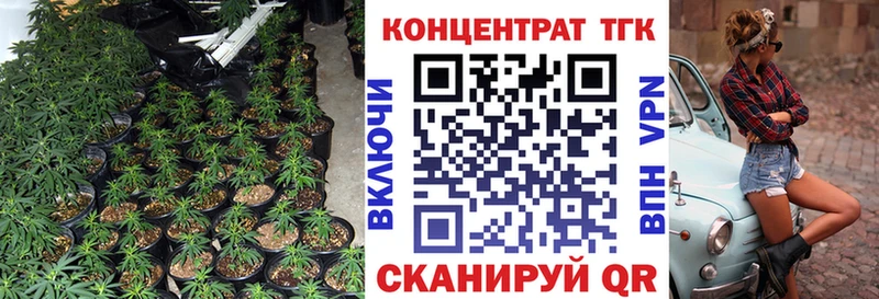 MEGA как войти  Сретенск  Дистиллят ТГК концентрат 