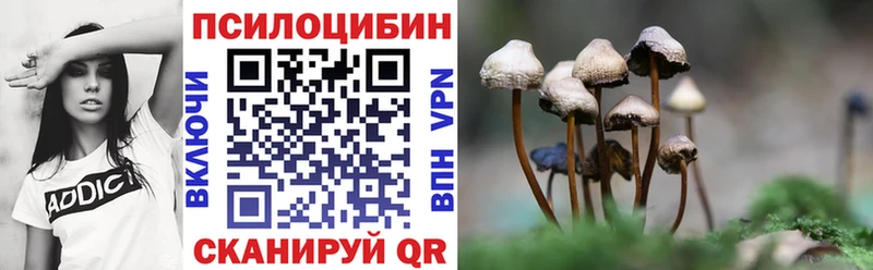 Псилоцибиновые грибы ЛСД Сретенск