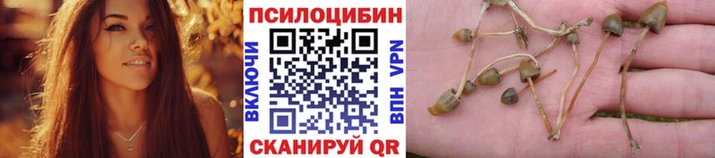 Галлюциногенные грибы Cubensis  Сретенск 